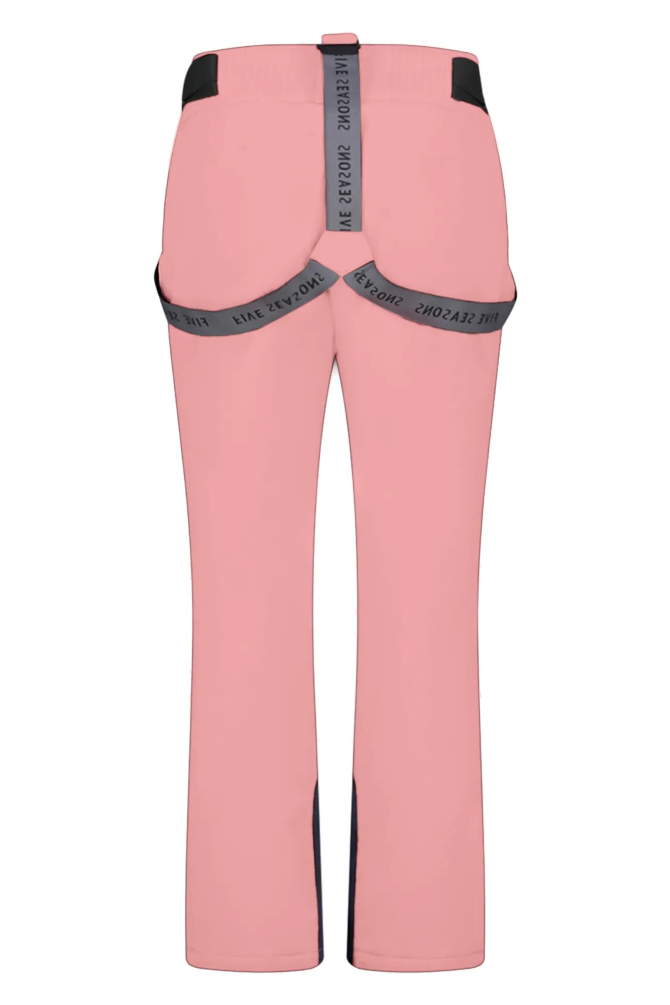 23796_paley_BLANK_pnt_BLANK_w_496_Back_fiveseasons